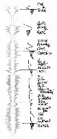 Description de l'image par IA : Spectrogram avec texte en français aligné. Ondes sonores et mots écrits à droite.