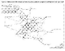 Description de l'image par IA : Diagram de relations entre contacts de Tzortzis Dounavis, extraits du registre notarié (janvier 1680 - juin 1689)
