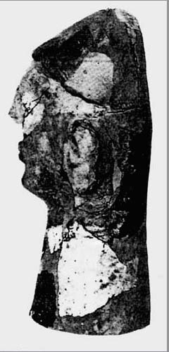 Description de l'image par IA : Tête de statue usée, vue de profil, avec des parties manquantes et des dommages visibles.