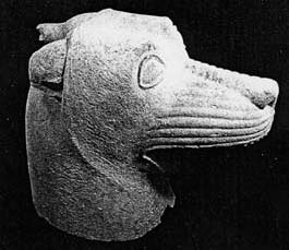 Description de l'image par IA : Tête de chien en noir et blanc, vue de profil, avec des détails de la truffe et des oreilles.