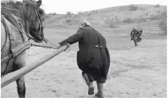 Description de l'image par IA : Une femme détache une charrette de cheval dans un champ. Un autre cheval et cavalier sont visibles à l'arrière-plan.