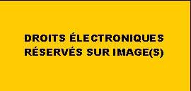 Description de l'image par IA : Texte noir sur fond jaune : "DROITS ÉLECTRONIQUES RÉSERVÉS SUR IMAGE(S)".