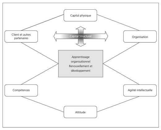 Description de l'image par IA : Diagram stratégique avec capital physique, structure, organisation, apprentissage, compétences, attitude et agilité intellectuelle.