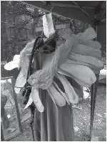 Description de l'image par IA : Costume de fleur avec des feuilles et des tiges, exposé en extérieur.