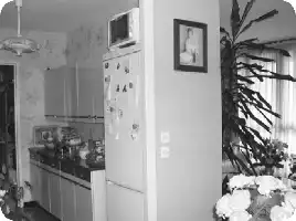 Description de l'image par IA : Cuisine avec réfrigérateur, micro-ondes, et plantes.