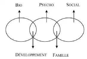 Description de l'image par IA : Trois cercles interconnectés étiquetés Bio, Psycho, Social en haut et Développement, Famille en bas, illustrant leurs interactions.