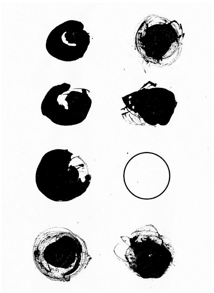 Description de l'image par IA : Huit formes noires et blanches abstraites, diverses en taille et texture, sur fond blanc.