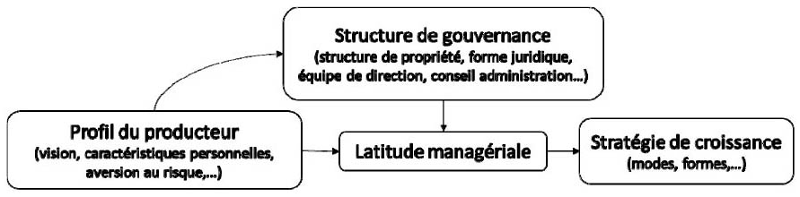 Description de l'image par IA : Schéma liant profil du producteur, structure de gouvernance, latitude managériale et stratégie de croissance.
