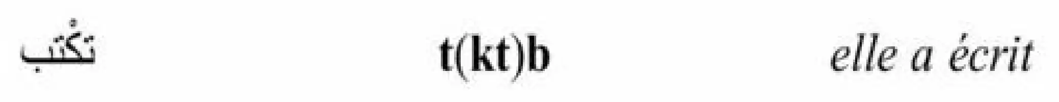 Description de l'image par IA : L'image contient un symbole de livre, le texte "t(kt)b" et la phrase "elle a écrit".