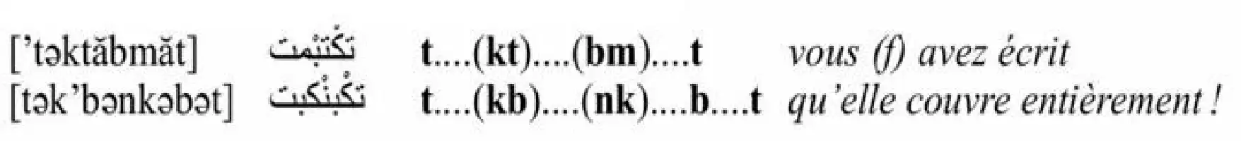Description de l'image par IA : Texte en braille et en alphabet latin. Phrases en français avec ponctuation et accents.