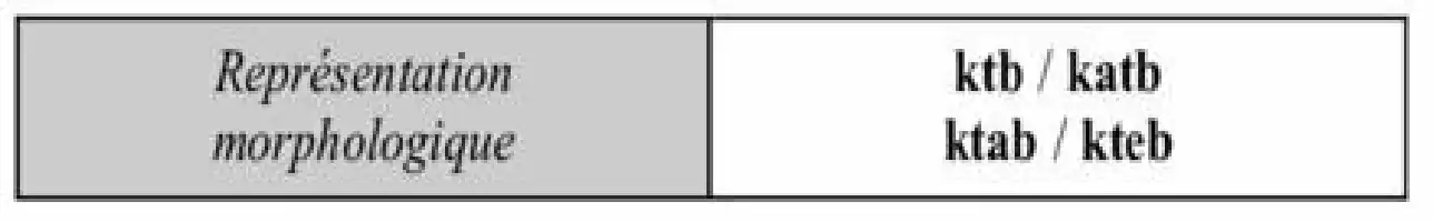 Description de l'image par IA : Deux boîtes de texte, une grisée avec "Représentation morphologique" et une blanche avec "ktb / katb ktab / kteb".