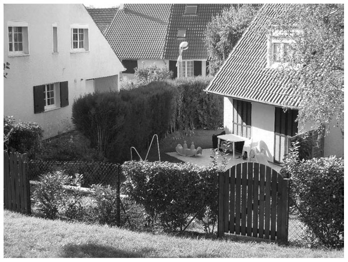 Photograph 4