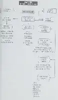 Description de l'image par IA : Organigramme de l'ETA (1968) avec différents commandos et leurs missions spécifiques.