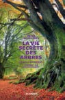 Description de l'image par IA : Arbre avec des racines apparentes et un texte en braille sur le tronc.