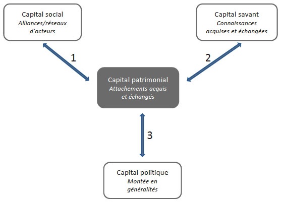 Description de l'image par IA : Trois types de capital (social, économique, politique) interagissant avec le capital patrimonial.