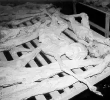 Description de l'image par IA : Dessin en relief représentant des formes organiques et des structures géométriques.