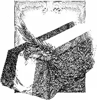 Description de l'image par IA : Illustration complexe avec un objet rectangulaire orné de plumes et de roses, drapé de tissu, sous un soleil rayonnant.