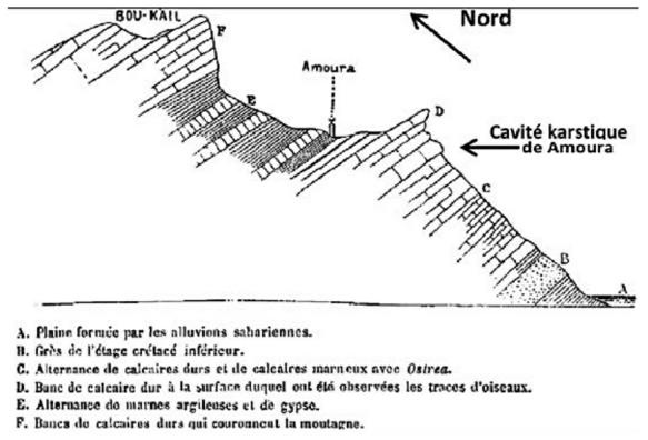 Description de l'image par IA : Coupe figurative du Djebel Boukahil (Le Mesle & Peron, 1880).