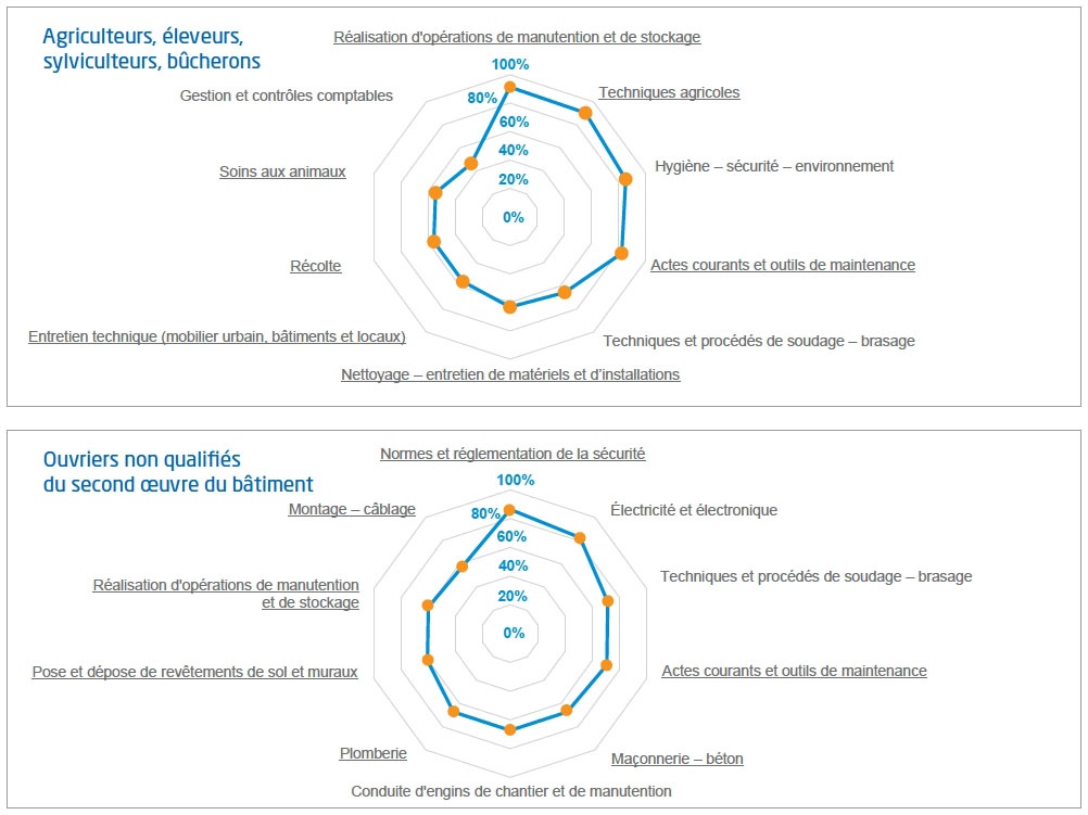 Description de l'image par IA : Radars circulaires montrant les compétences techniques partagées en 2019.