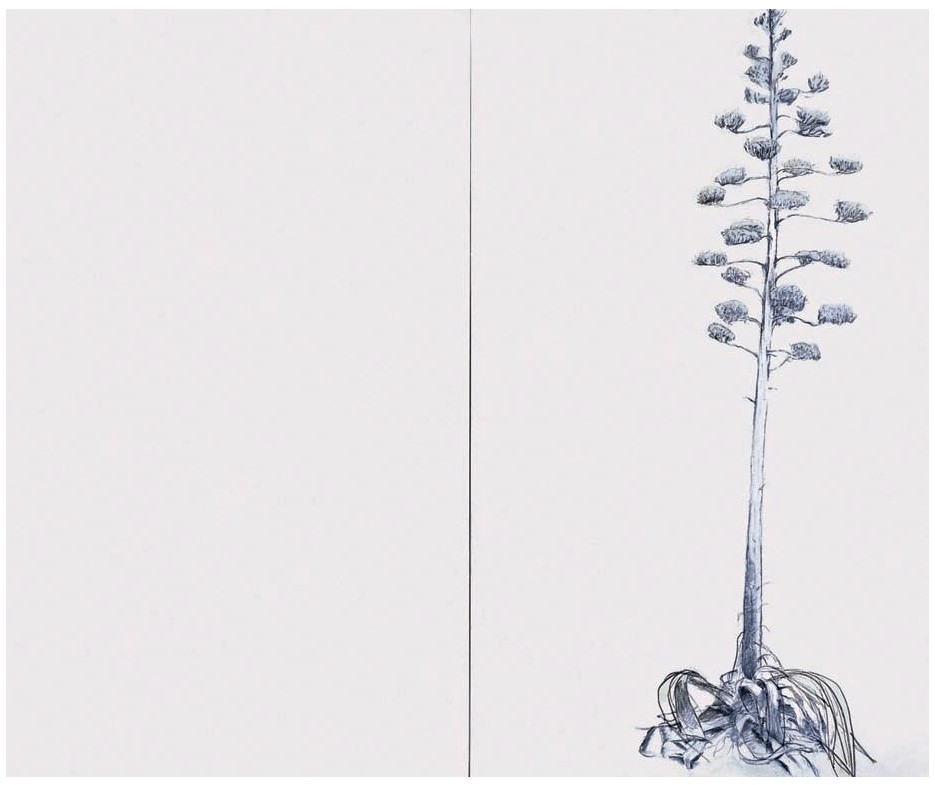 Description de l'image par IA : Droite : grande plante stylisée avec fleurs, racines visibles, fond blanc.