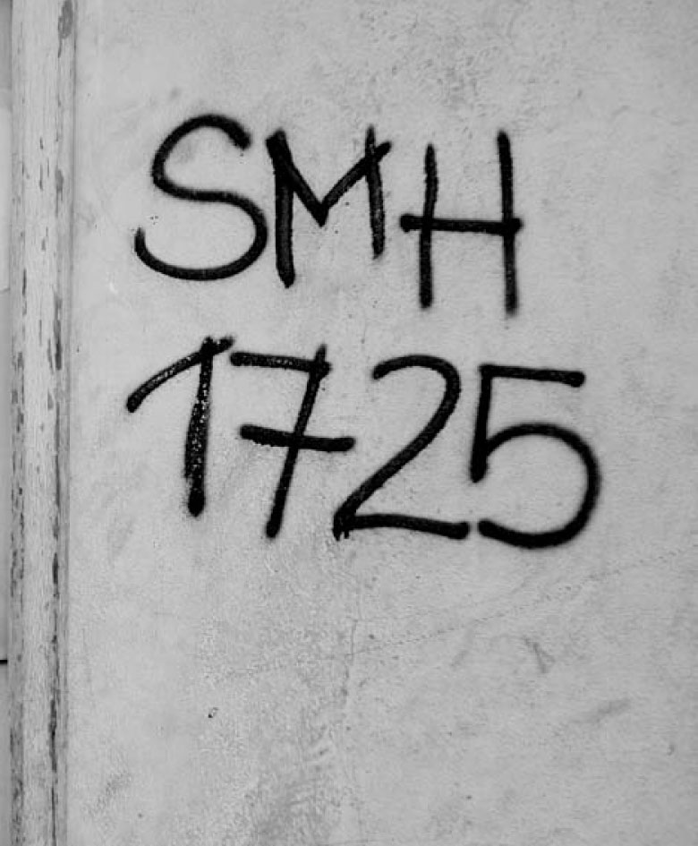 Description de l'image par IA : Graffiti sur un mur avec les lettres "SMH" et les chiffres "1725".