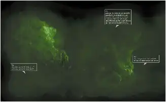 Description de l'image par IA : Forêt sombre avec lumière verte, texte en blanc.