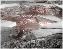 Description de l'image par IA : Détail en noir et blanc de crocs de dragon, avec des textures rugueuses et des reflets métalliques.