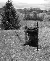 Description de l'image par IA : Une poubelle en polypropylène renversée dans un champ, avec des arbres et des buissons en arrière-plan.