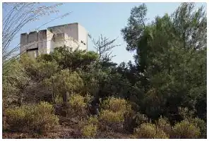 Description de l'image par IA : Un bâtiment blanc partiellement caché par des arbres et des buissons verts luxuriants sous un ciel bleu clair.