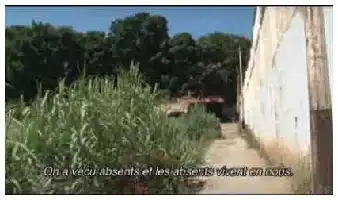 Description de l'image par IA : Un chemin de terre entre des arbres verts et un mur blanc.