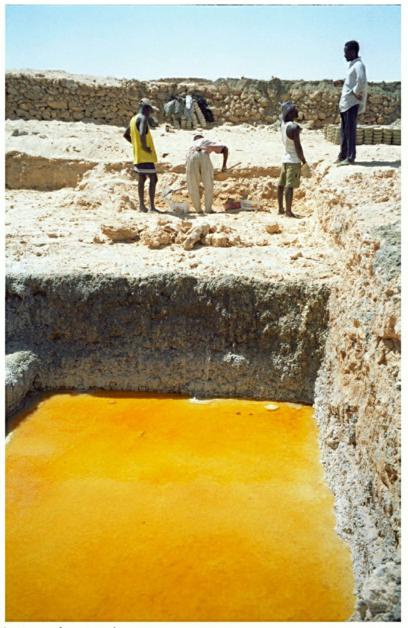 Description de l'image par IA : Travailleurs aux salines de Bilma, plusieurs personnes extraient du sel dans une grande cuve jaune.