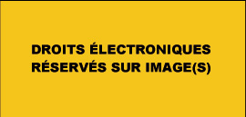 Description de l'image par IA : Image jaune avec texte noir en majuscules : "DROITS ÉLECTRONIQUES RÉSERVÉS SUR IMAGE(S)".
