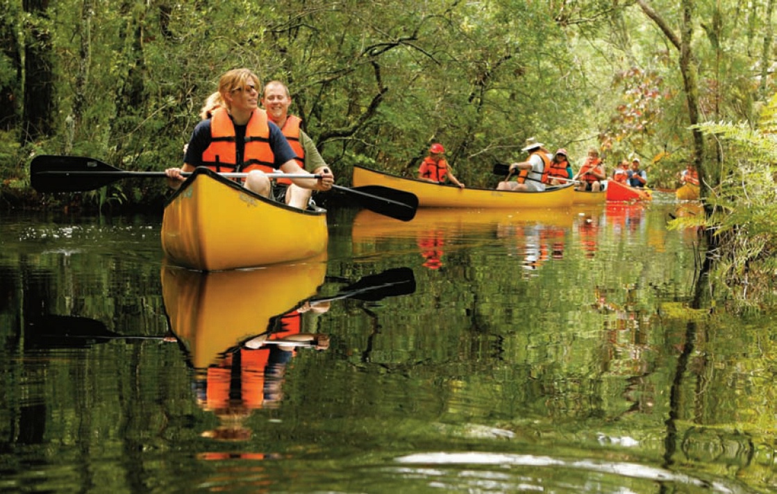 Description de l'image par IA : Des familles en gilets orange font du canoë sur une rivière tranquille entourée d'arbres verts.