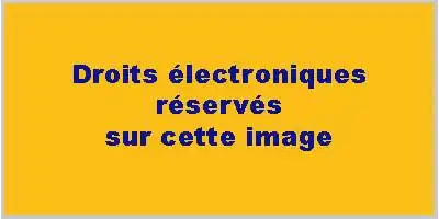 Description de l'image par IA : Texte en bleu sur fond jaune, titre et sous-titre du manuscrit de la préface de Jean-François Revel.
