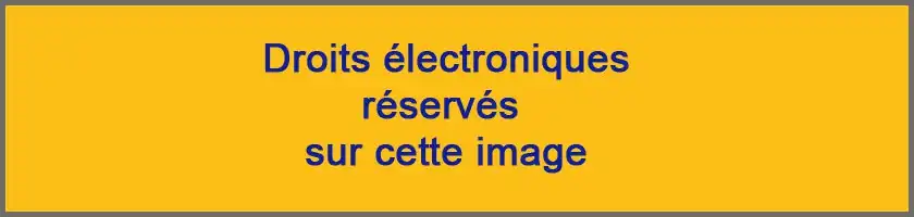 Description de l'image par IA : Bande jaune avec texte noir : "Droits électroniques réservés sur cette image."