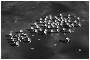 Description de l'image par IA : Dots lumineux sur fond sombre, regroupés en clusters.