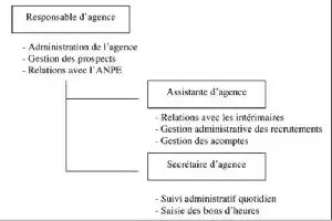 Description de l'image par IA : Organigramme d’une agence type avec responsable, assistant et secrétaire, incluant leurs tâches respectives.