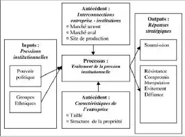 Description de l'image par IA : Diagram de flux avec entrées, antécédents, processus et sorties pour l'étude de la pression institutionnelle.