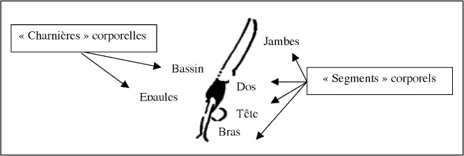 Description de l'image par IA : Illustration montrant des segments et charnières corporelles avec étiquettes en français.