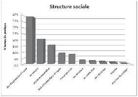 Description de l'image par IA : Graphique montrant la répartition des structures sociales dans les activités physiques proposées par les enseignants d'EPS.