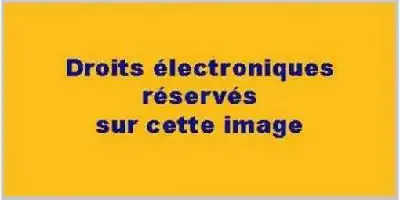 Description de l'image par IA : Fond jaune avec texte noir "Droits électroniques réservés sur cette image".