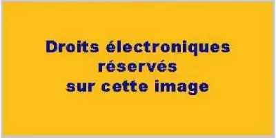 Description de l'image par IA : Fond jaune avec texte noir "Droits électroniques réservés sur cette image".
