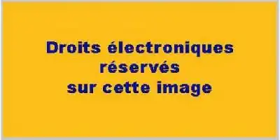 Description de l'image par IA : Fond jaune avec texte noir "Droits électroniques réservés sur cette image".