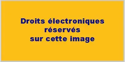 Description de l'image par IA : Texte sur fond jaune : "Droits électroniques réservés sur cette image."