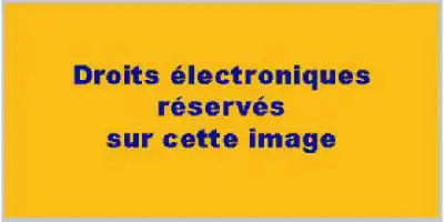 Description de l'image par IA : Image jaune avec texte noir "Droits électroniques réservés sur cette image".