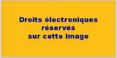 Description de l'image par IA : Texte jaune sur fond jaune : "Droits électroniques réservés sur cette image."