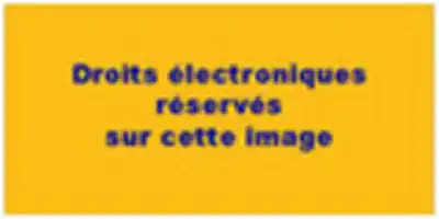 Description de l'image par IA : Image jaune avec texte bleu : "Droits électroniques réservés sur cette image."