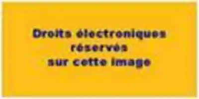 Description de l'image par IA : Texte sur fond jaune : "Droits électroniques réservés sur cette image."